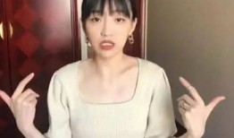 刘修正前女友爆料视频播放,揭秘背后惊人真相